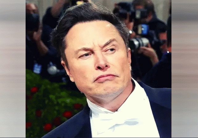 Elon Musk Changed Twitter Logo