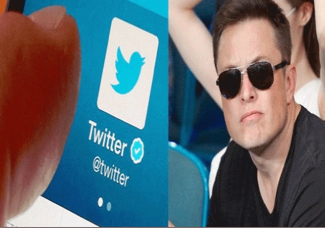 Elon Musk Will Change Twitter Look