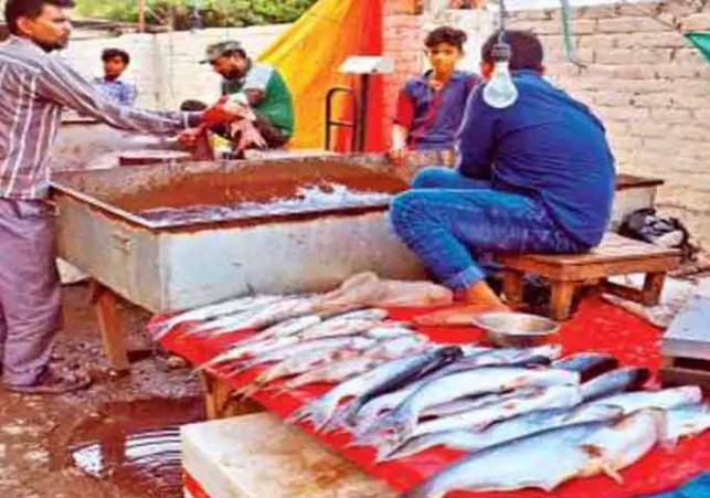 Illegal meat-fish business