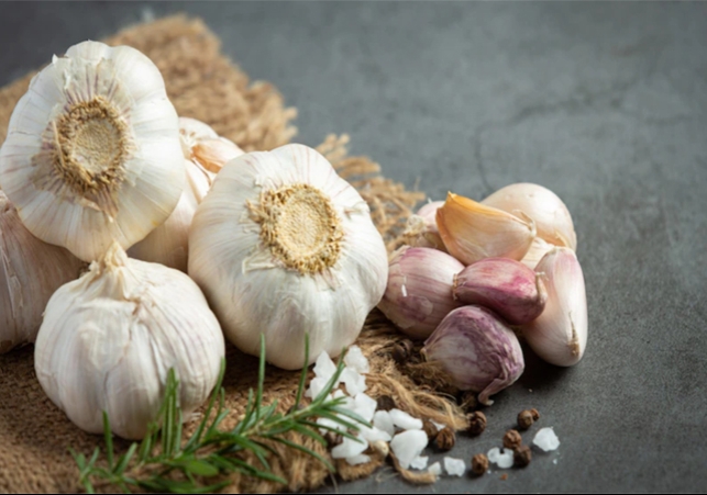 Garlic Subtitute