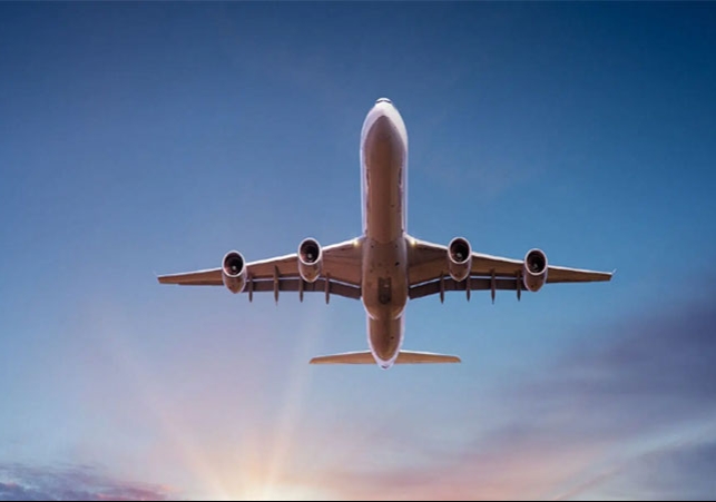 Germany Frankfurt To Hyderabad Plane Bomb Threat News Update