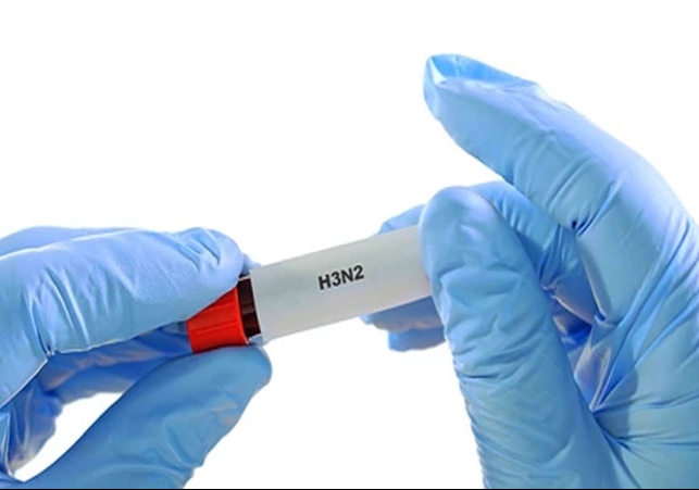  H3N2 Virus Alert News Symptoms and Prevention