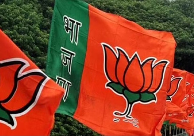 Haryana BJP New Appointments Before Lok Sabha Chunav 2024