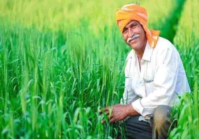Haryana-Farmer
