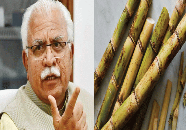 Haryana Sugarcane Price Increased