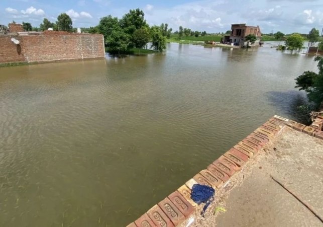Flood