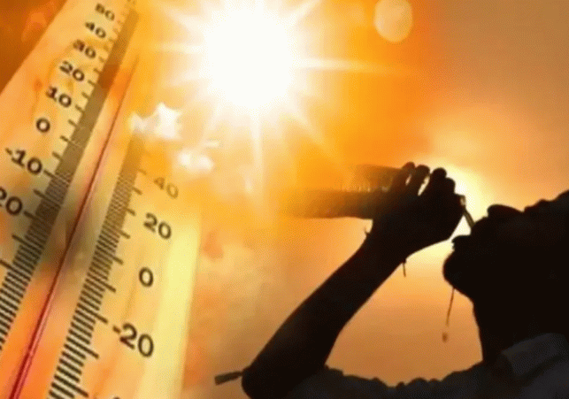Yellow Alert for Heatwave in Chandigarh
