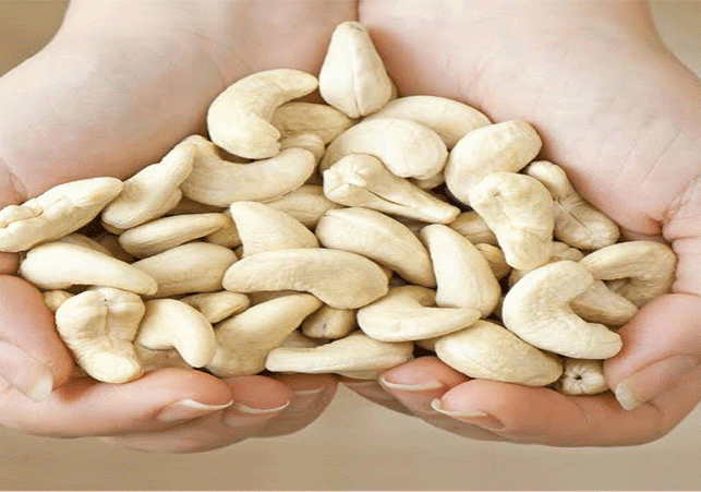 How To Identify Real And Fake Cashew Nuts