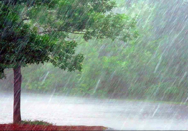 IMD Rain Alert For North West India Due To Western Disturbance Active
