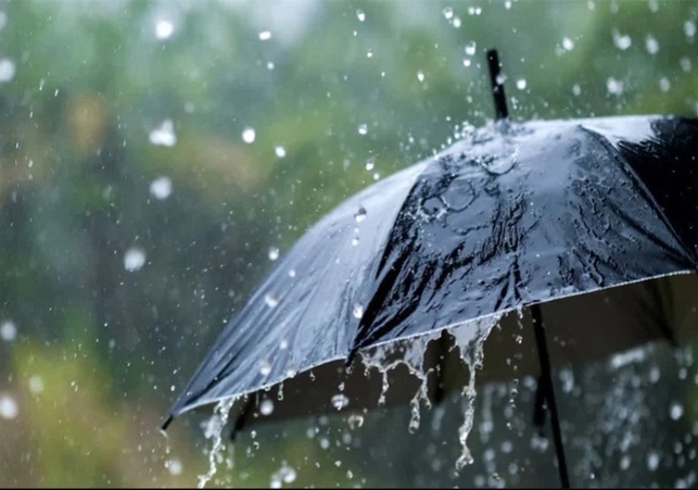 IMD Rain Alert in Chandigarh Punjab Haryana Relief From Excessive Heat