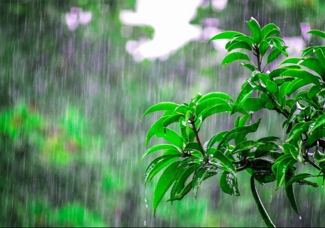 IMD Rain Orange Alert For Punjab Haryana Delhi NCR Jammu Kashmir