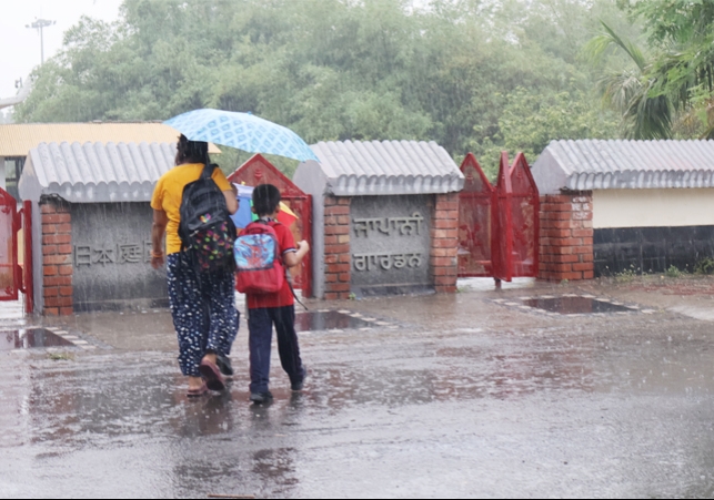 IMD Weather Chandigarh Punjab Haryana Rain Monsoon Entry