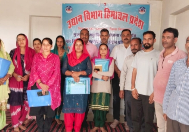Beekeeping camp in Swarghat