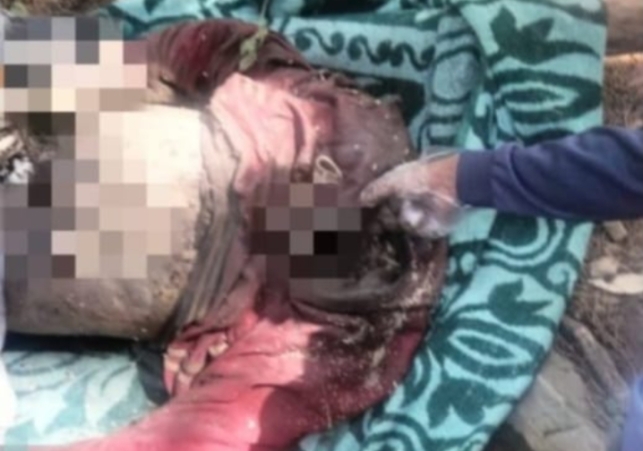 Dead body found below the road in the forest nearer to Shimla-Mandi highway