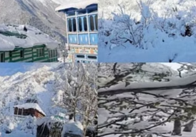 Due to snowfall in Kinnaur, clouds of crisis hovered over apples
