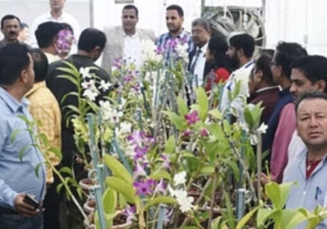 A team of Horticulture Department officials taking training on flower production in Sikkim.