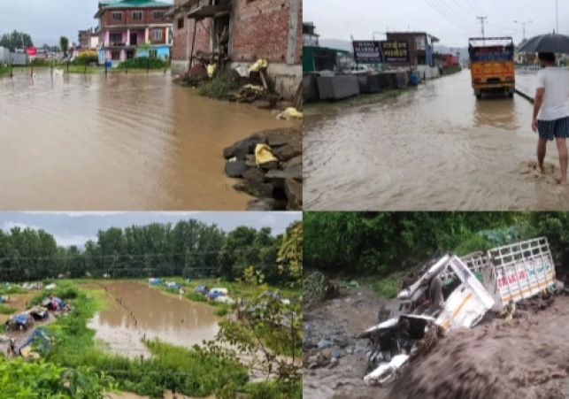 Torrential rains wreaked havoc in Mandi district, tomato crop damaged in Balh Valley, loss of lakhs due to water entering shops and houses