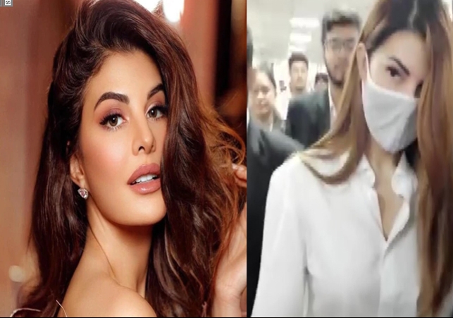 Jacqueline Fernandez Gets Interim Bail In Rs 200 Cr Money Laundering Case