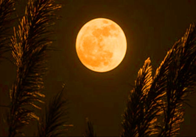 Karwa Chauth 2025 Ka Chand Kab Dikhega