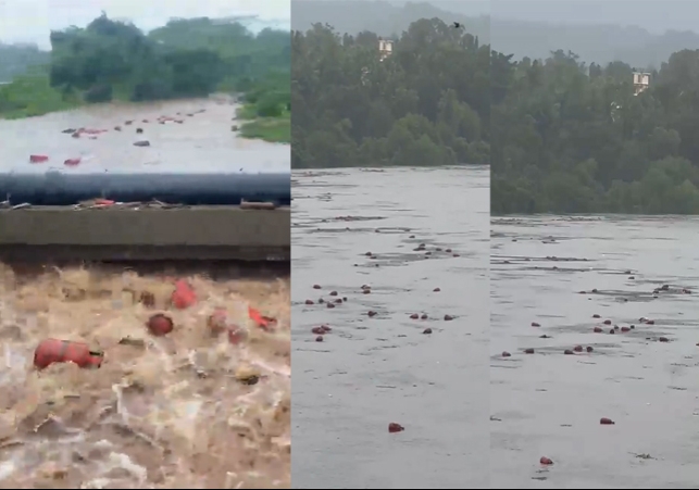 Maharashtra LPG Cylinders Washed Away in Patalganga River Raigad 