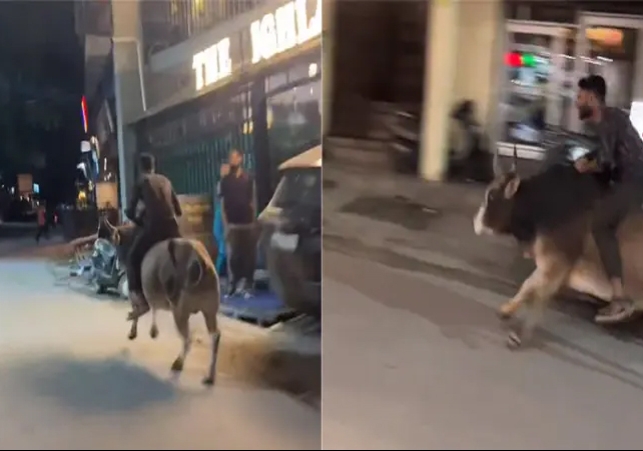 Video of man riding bull goes viral on social media
