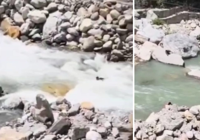 Manikaran-River-Accident-1781006602587