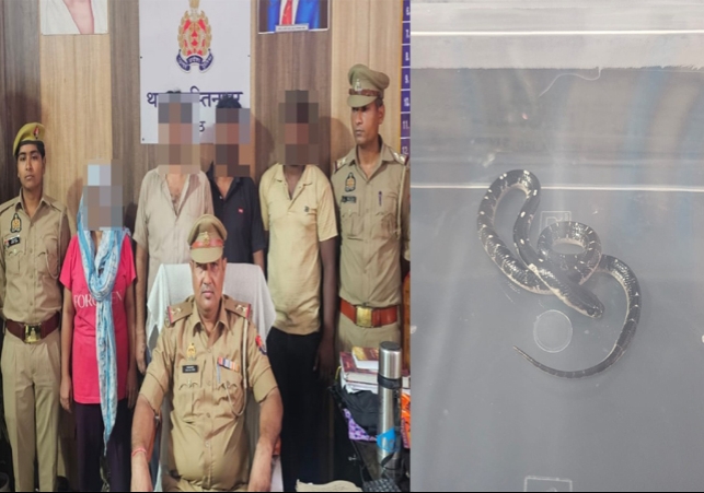 Meerut Wife Kills Husband With Snake Bite Crime Case