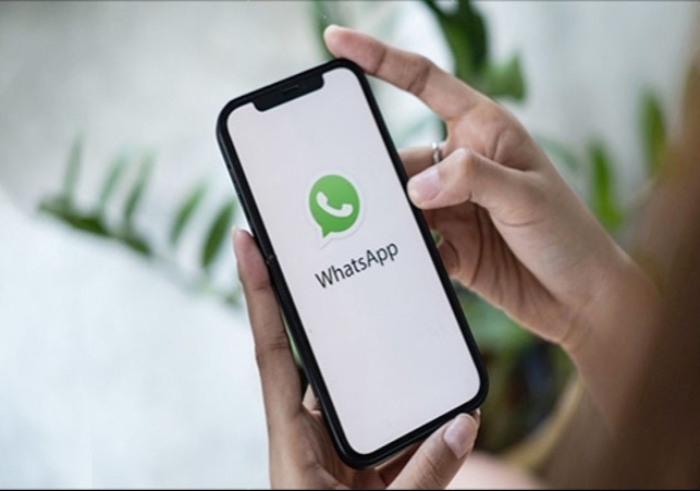 Meta submitted reply to Indian Government over WhatsApp username feature