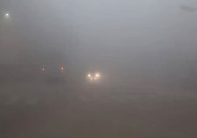 मोहाली में 2 स्कूल बसों की जोरदार टक्कर; घने कोहरे में ज़ीरो विजिबिलिटी के चलते बड़ा हादसा, मचा हड़कंप, पुलिस मौके पर पहुंची