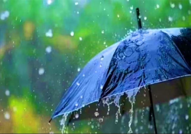 Monsoon 2025 Latest News