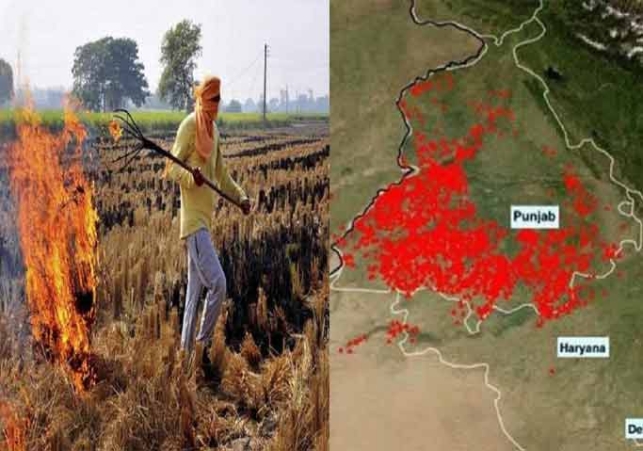 Haryana proved successful in crop residue management