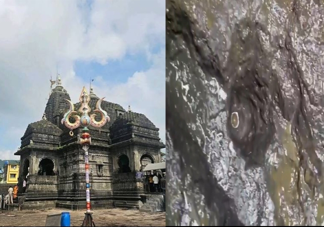 Nashik Trimbakeshwar Amritkund Shivling Viral Video