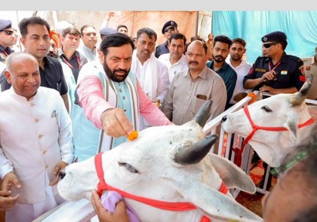 CM GauShala Saini