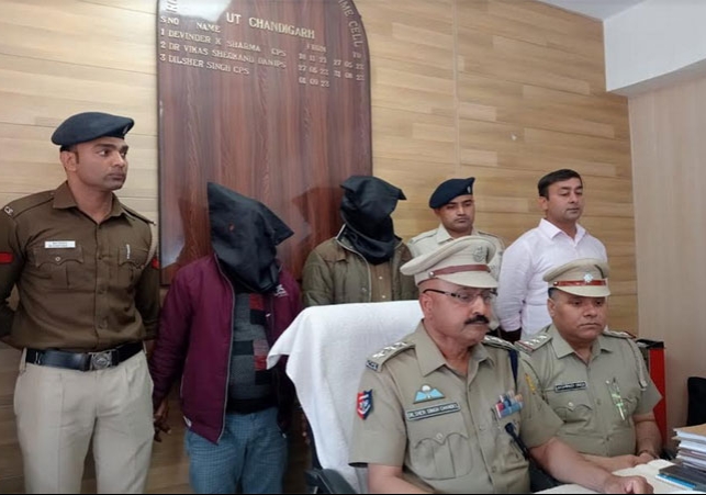 चंडीगढ़ में नर्सरी में उगाए जा रहे थे अफीम के पौधे; पुलिस ने 700 से ज्यादा पौधे जब्त किए, मालिक-माली पर NDPS के तहत शिकंजा