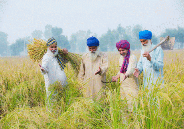 Punjab Farmer welfare scheme