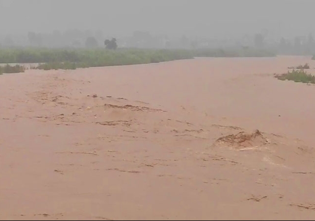 Panchkula Two Children Drowned in Ghaggar River Breaking News