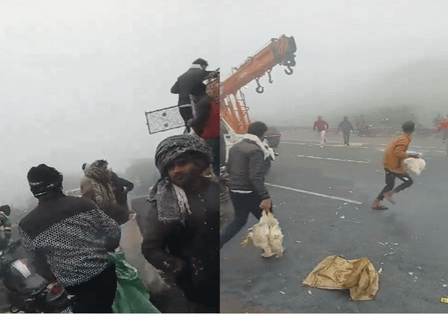 People Looted The Chickens On Agra National Highway Accident Video Viral