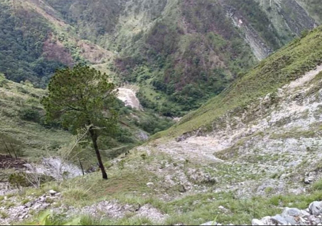 Pithoragarh Car Fell into Ditch