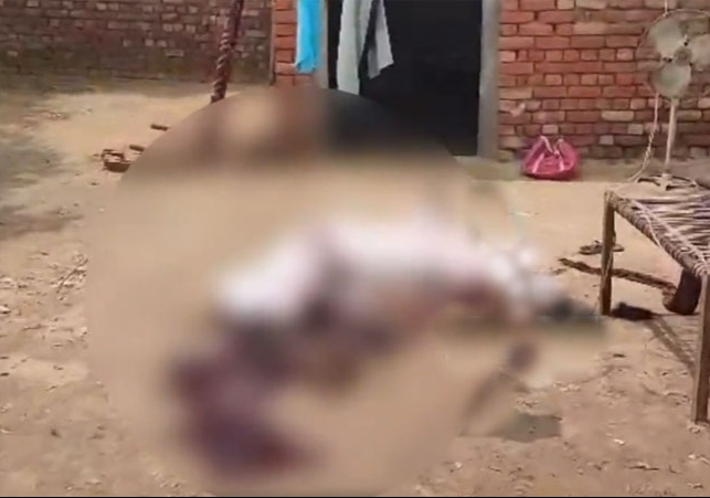 Punjab Brother Murdered Sister With Sharp Weapon.