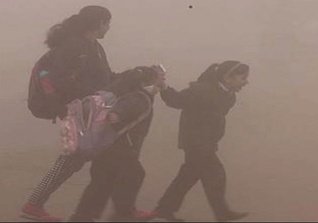 पंजाब में सभी स्कूलों की छुट्टियां बढ़ीं; CM मान के निर्देश के बाद शिक्षा विभाग का फैसला, कड़ाके की ठंड के चलते अभी बंद रहेंगे स्कूल