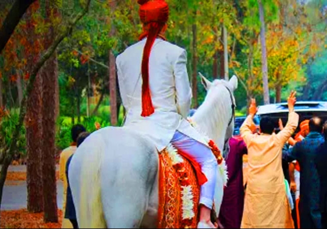 Punjab Wedding Fraud News Amritsar Groom Moga Bride Marriage