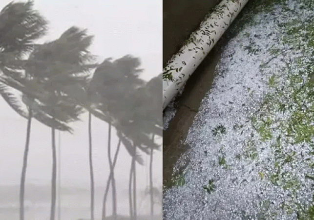 Impact of Western Disturbance in Himachal