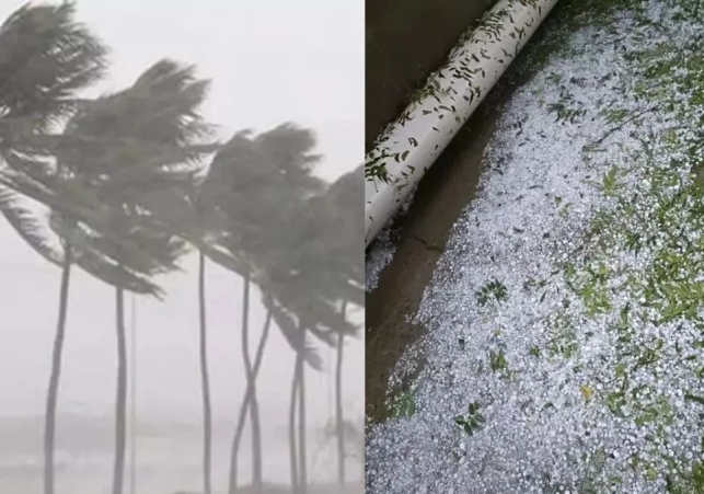 Double weather whammy in Himachal: Snowfall in Rohtang and Baralacha