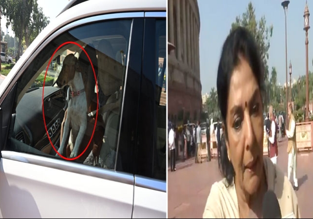 Renuka Chowdhury Dog Controversy