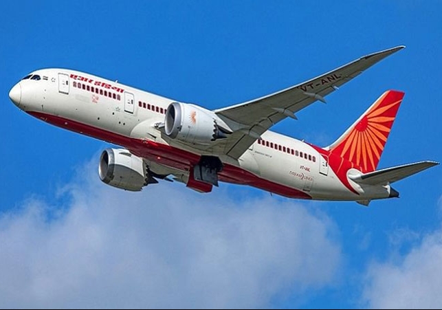   Scorpion Bites Woman in Air India Flight