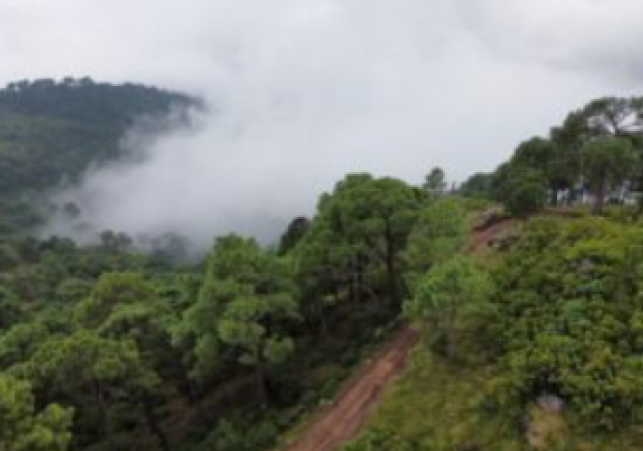 HC Orders Morni Hills Forest Demarcation