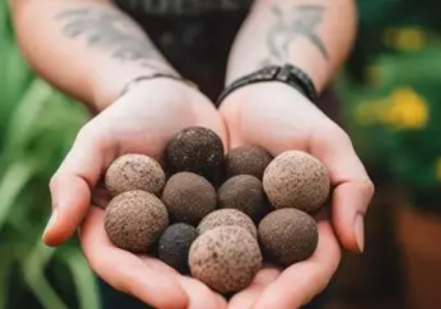 Thiruvananthapuram’s Seed Ball Project Makes World Book of Records