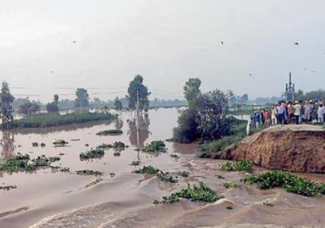Sultanpur Lodhi Floods: Farmer with Rs 10 Lakh Debt Loses Home Again