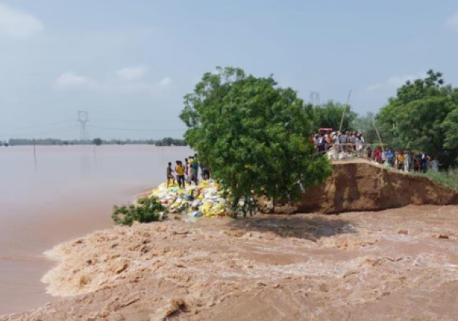 Punjab Floods 2025: Ludhiana on High Alert, 43 Dead, Crops Destroyed