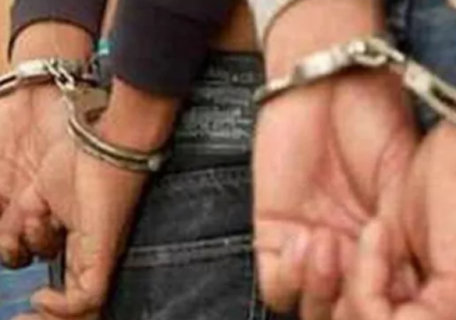 Woman Clings to Auto for 500m in Ludhiana Robbery Bid